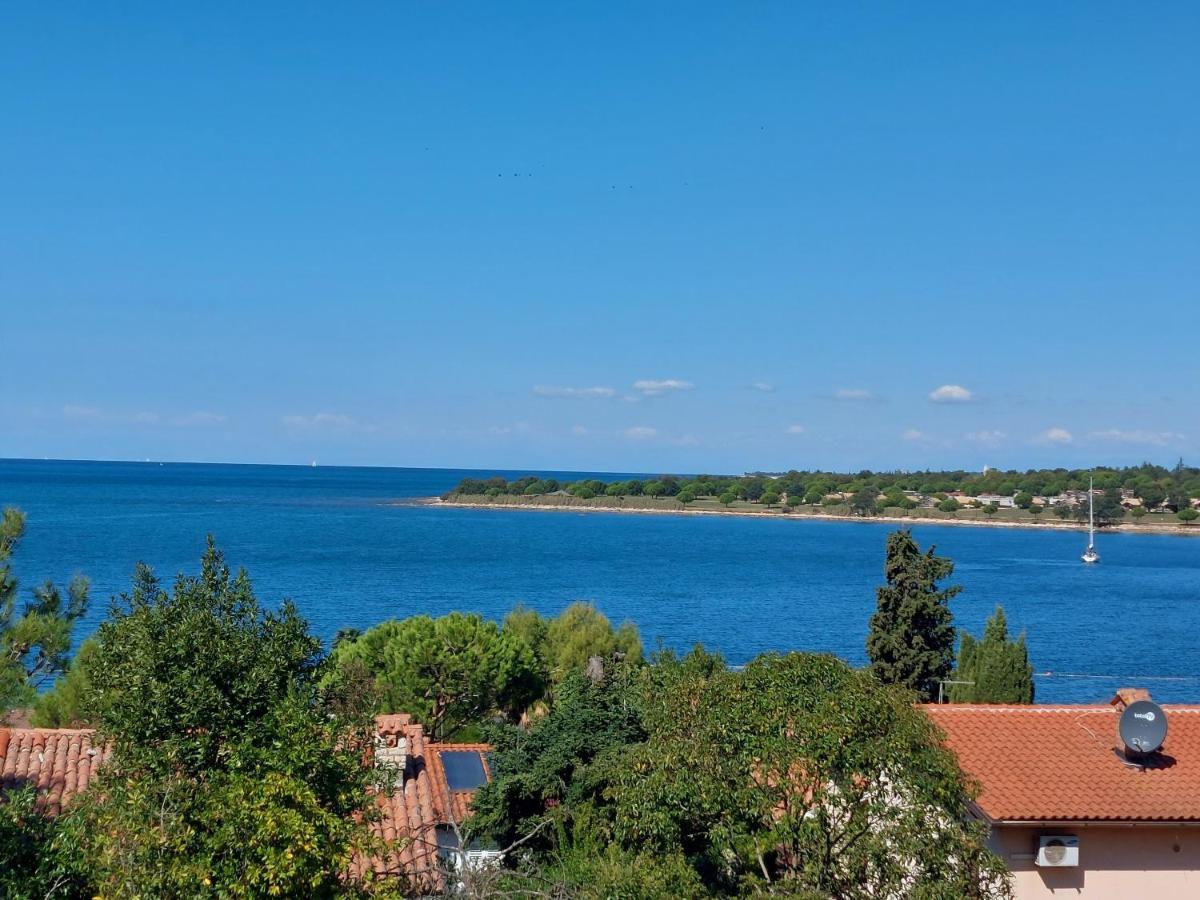 Apartments Henc Novigrad  Exterior photo