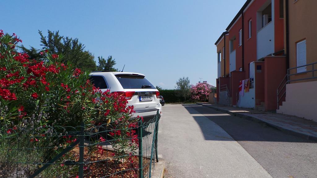 Apartments Henc Novigrad  Exterior photo
